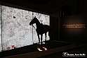 VBS_1895 - Mostra Antoine De Lonhy_-_Il Rinascimento Europeo